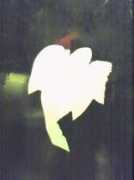 heavenlyguidancecouk.site.securepod.com Flyangel