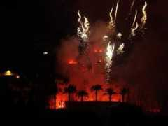 Focs