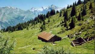 Foges