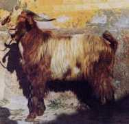 agraria.org Foggiano