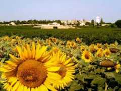 Foissac