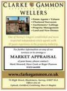 haslemere.com Folane