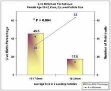 Follicle