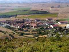 Foncea