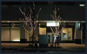 lib.city.kashiwazaki.niigata.jp Fonje