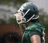 mlive.com Fonoti
