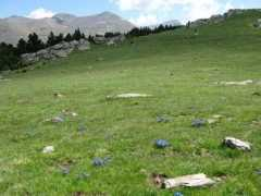 panoramio.com Fontalba
