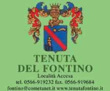massamarittima.info Fontino