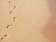 Footsteps