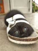 Footsy