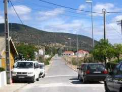 Forcas