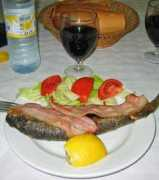 dewijdewereld.net Forel