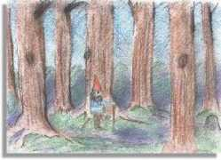 istituti.vivoscuola.it Foresta