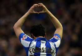 dailystar.co.uk Forestieri