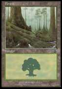 Foret