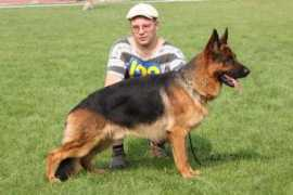 Forkas