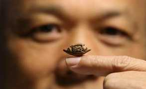 news.xinhuanet.com Forng