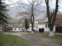 Forras