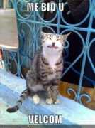 Forshi