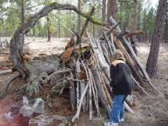 Fort