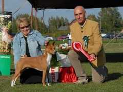 basenji.fi Fortunae