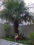 rednaturaleza.com.ar Fortuney