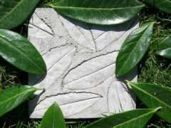 Fossile