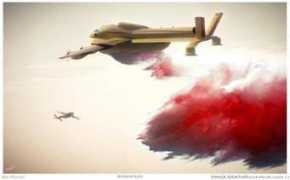bee-plane.com Fouatih