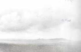 Foula