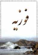 caroun.com Fouzieh
