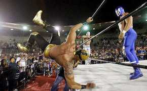 picstopin.com Fracine