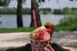 xpatloop.com Fragola