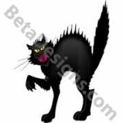 betadesigns.com Fraidy