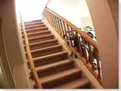 idahoforest.com Frailing