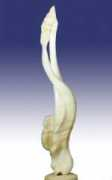arttribes.com Fraiman
