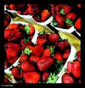 Fraises