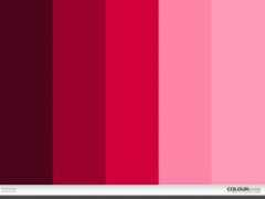 colourlovers.com Framboesa