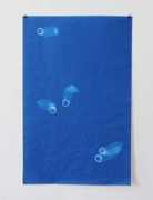 designisblank.com Francescone