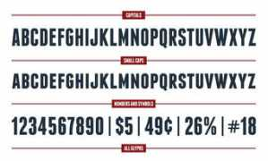 typegoodness.com Franchise
