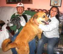 adoptamascota.com Francoy