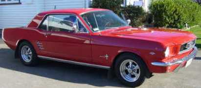 nzmustang.co.nz Frandi