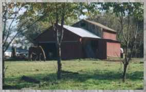 home.tir.com Franed