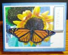 splitcoaststampers.com Franes