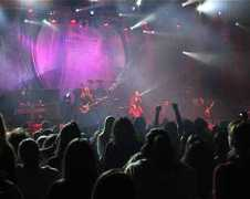 nightwish.ro Frangulea