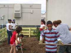 simplelivinginstitute.org Frangus