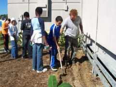 simplelivinginstitute.org Frangus