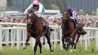 bbc.co.uk Frankel