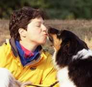 zoiedog.com Frankiss