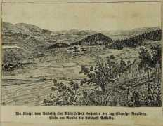 kohoutikriz.org Franl