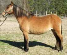 atigradoacres.com Fransika
